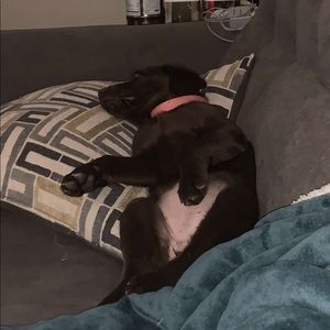 Meet your Posher, Tim